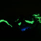 Phosphorescent leaf dragon unique figurine