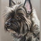 Portrait d'animal personnalisé