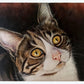 Portrait d'animal personnalisé