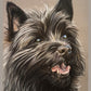 Portrait d'animal personnalisé